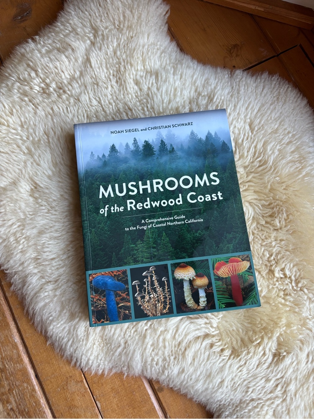 Mushrooms of the Redwood Coast